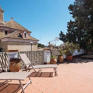  Apartamento Penthouse Private Terrace, Near Cathedral, And To Real Maestranza